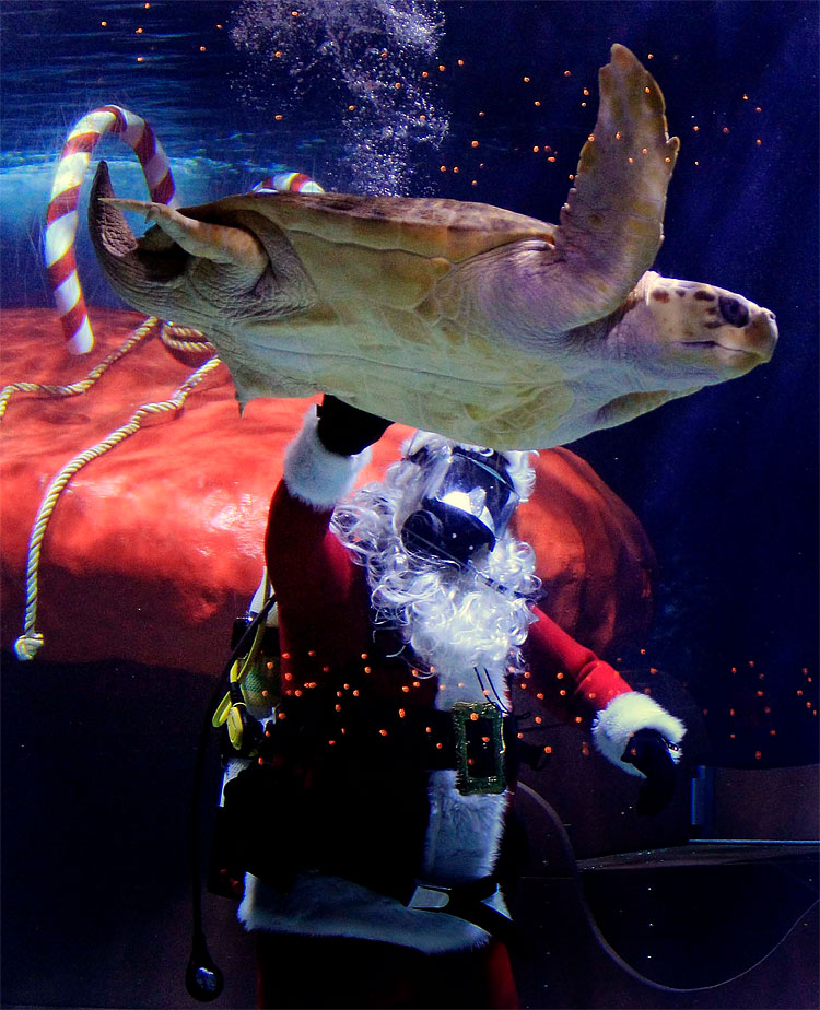 31 The World is Waiting for Christmas