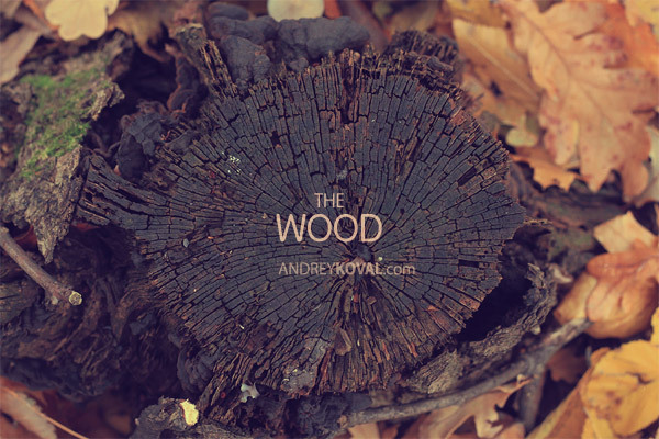 THE WOOD BY Andrey Koval 3168535b92b3a10f8891fe41ccb19e22 THE WOOD BY Andrey Koval
