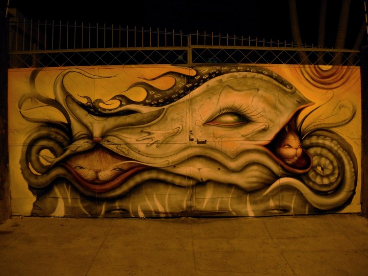 500210 750x562 Mind Blowing Street Arts by Andre Muniz Gonzaga [Part I]