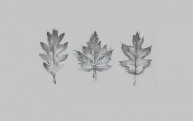 dsktps.com 72: 3 Leaves 72 3 Leaves by Virginia Poltrack tablet android 650x406 dsktps.com 72: 3 Leaves