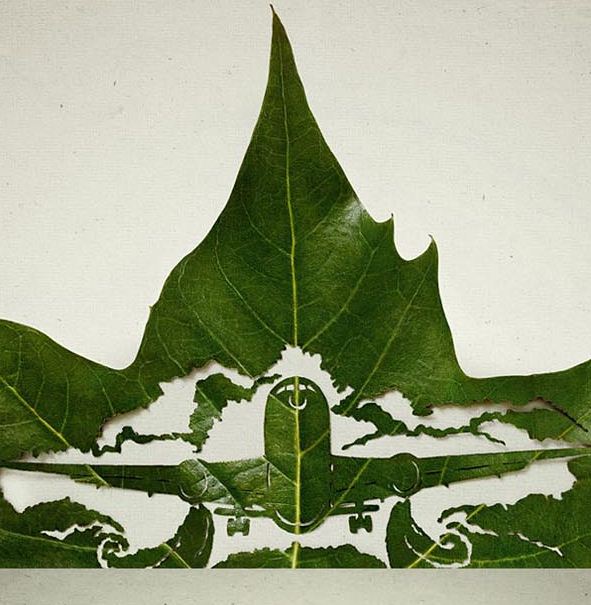 Amazing Leaf Carving Art Amazing Leaf Carving Art Photography 1 Amazing Leaf Carving Art