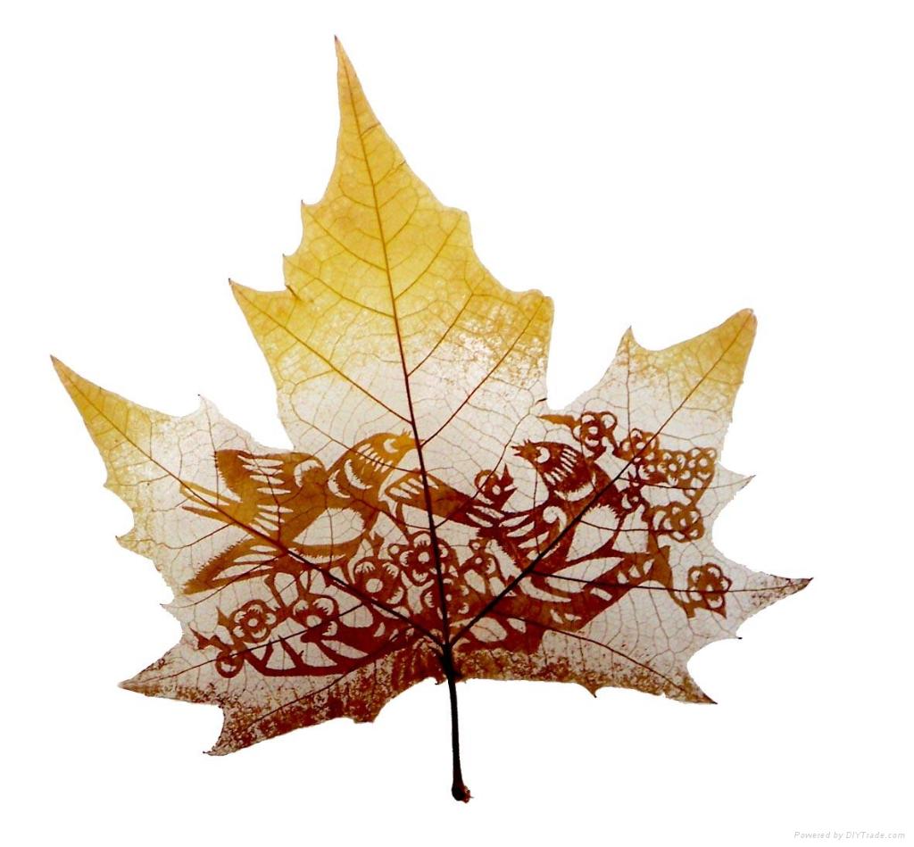 Amazing Leaf Carving Art Amazing Leaf Carving Art Photography 13 Amazing Leaf Carving Art