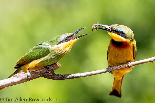 25 Beautiful And Delightful Photos Beautiful Photos6 25 Beautiful And Delightful Photos