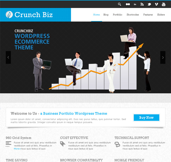 30 Premium WordPress Themes Biz 30 Premium WordPress Themes