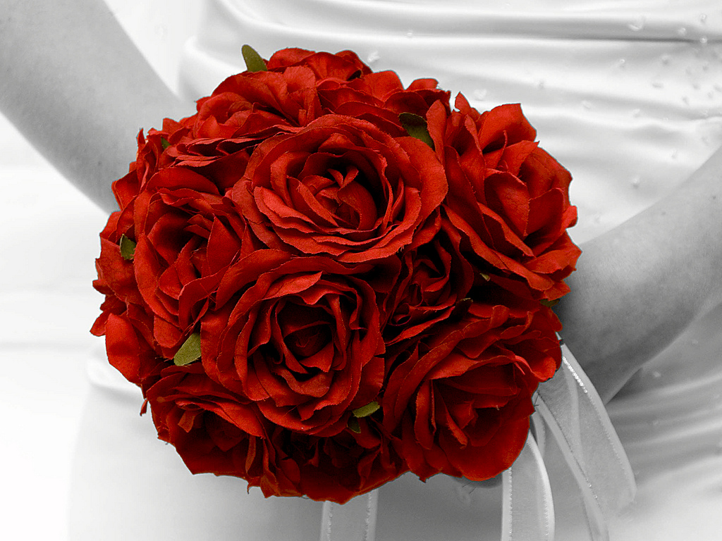 Stunning Red Photos Bright Red1 Stunning Red Photos