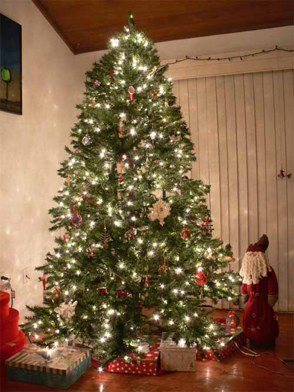 20 Beautiful Christmas Trees Photography Christmas Tree 15 20 Beautiful Christmas Trees Photography