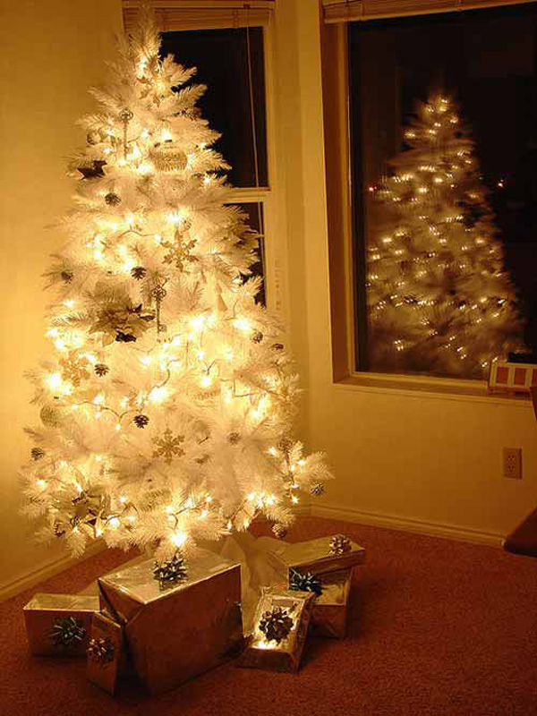 20 Beautiful Christmas Trees Photography Christmas Tree 16 20 Beautiful Christmas Trees Photography