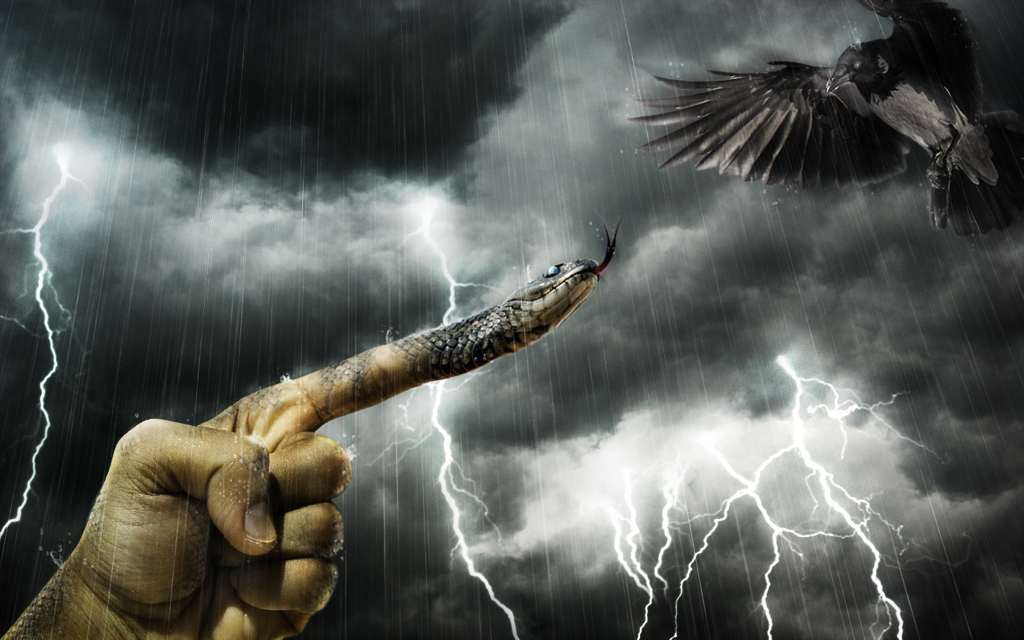 Beautiful Examples Of Photoshop Text And Photos Effects Hand Snake and Bird Beautiful Examples Of Photoshop Text And Photos Effects