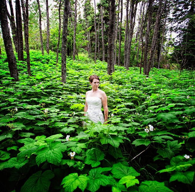 Beautiful Examples Of Amazing and Inspiring Photos From Around The World In The Forest Beautiful Examples Of Amazing and Inspiring Photos From Around The World