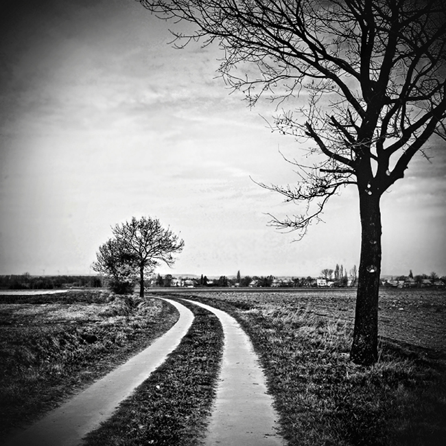 Black And White Beauty Of Irish By Slavo And Stefano Irish Beauty 24 Black And White Beauty Of Irish By Slavo And Stefano