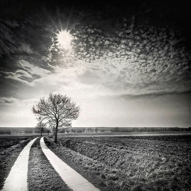Black And White Beauty Of Irish By Slavo And Stefano Irish Beauty 25 Black And White Beauty Of Irish By Slavo And Stefano
