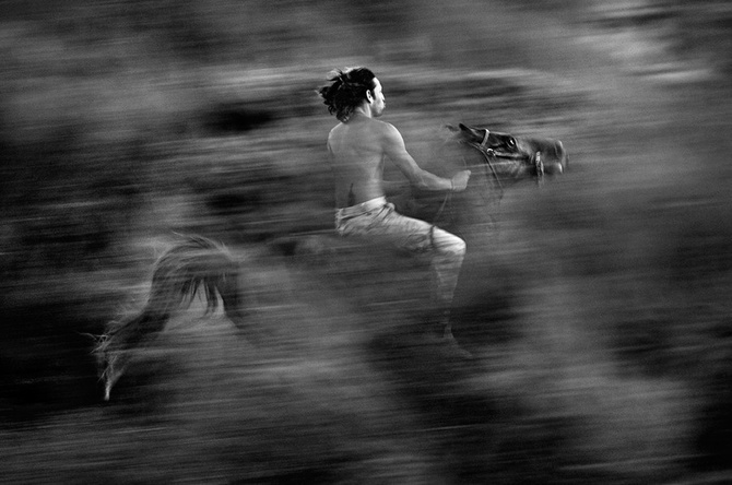 Nature Photography by Shlomi Nissim Shlomi Nissim5 Nature Photography by Shlomi Nissim