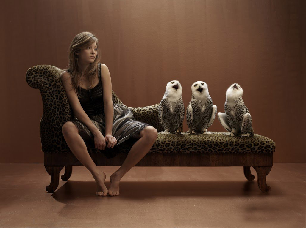 Amazing Photos From Around The World Siting in Different Style1 Amazing Photos From Around The World