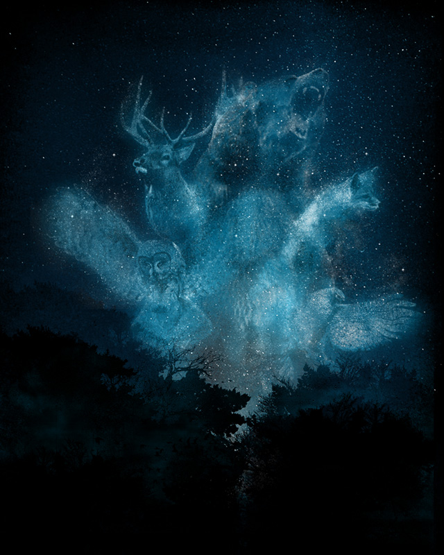 Spirits of the forest t shirt design by sebasebi Spirits of the forest custom tee design Spirits of the forest t shirt design by sebasebi