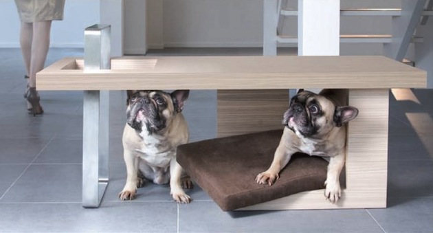  A Pet Friendly Coffee Table by Petsmood