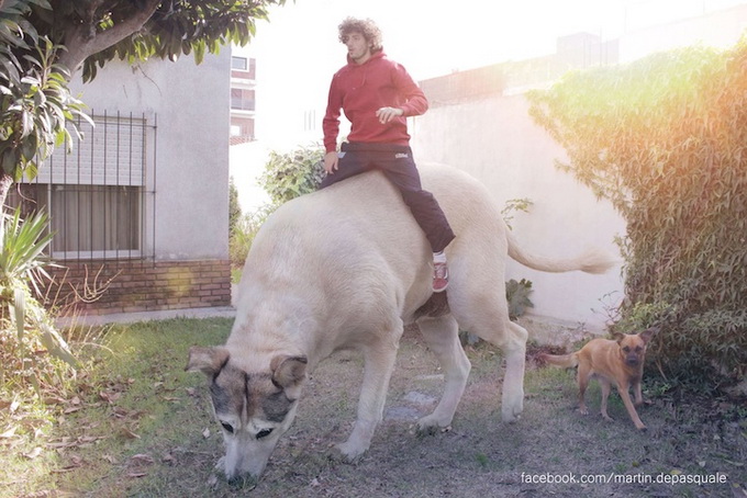 Funny Photomanipulations by Martín De Pasquale freaky 04 Funny Photomanipulations by Martín De Pasquale