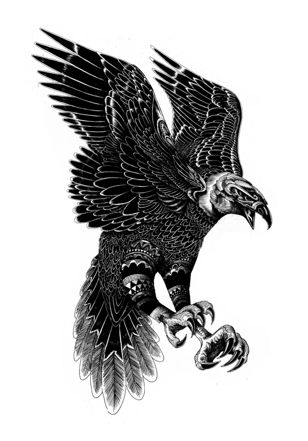 il 12 Wildlife 2 by Iain Macarthur