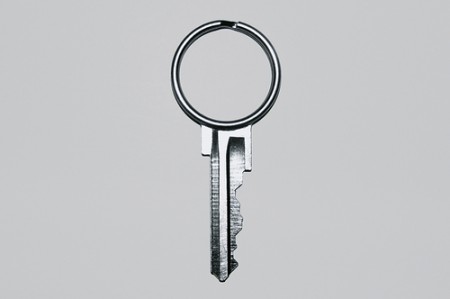 pic on Design You Trust Keybrid: Keyring Key