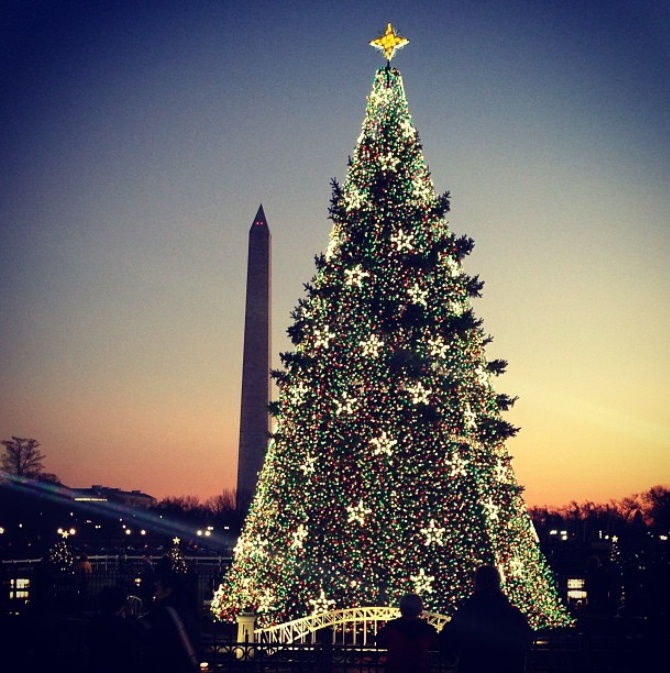 World Top Ten Christmas Trees of 2012 wa1 World Top Ten Christmas Trees of 2012