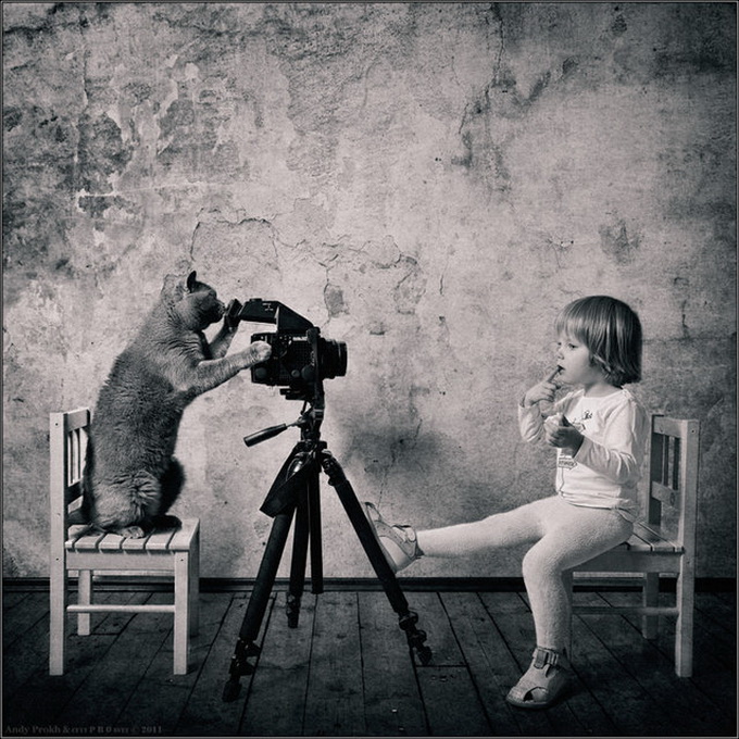 Little Girl and the Cat 0000aca13 medium Little Girl and the Cat