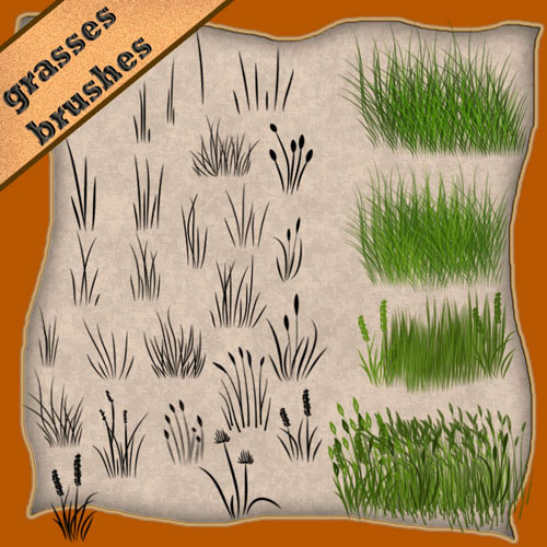 1213 A Collection Of Free Grass Brushes For Photoshop