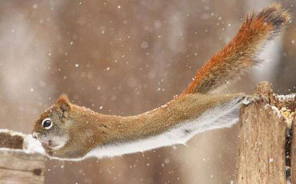Beautiful Cute Wild Photos Cute Animals Pics 7 Beautiful Cute Wild Photos