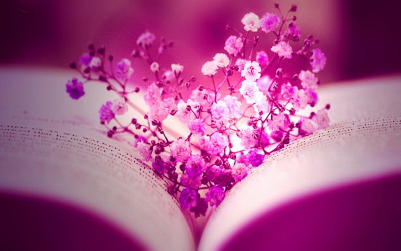 Facebook Timeline Cover Romantic Images Facebook Love Gifts Love Cover Facebook Timeline Cover Romantic Images