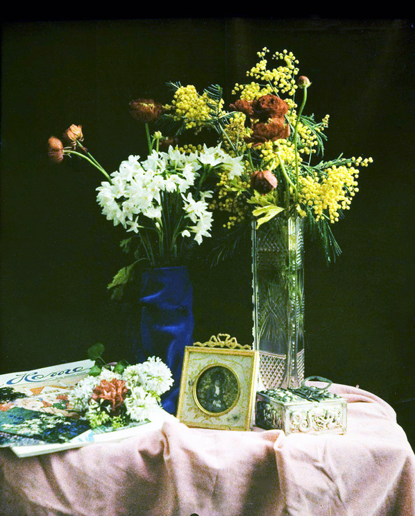 Beautiful Flower Autochromes, circa 1910 1920 Flower+Autochromes+circa+1910 1920+3 Beautiful Flower Autochromes, circa 1910 1920