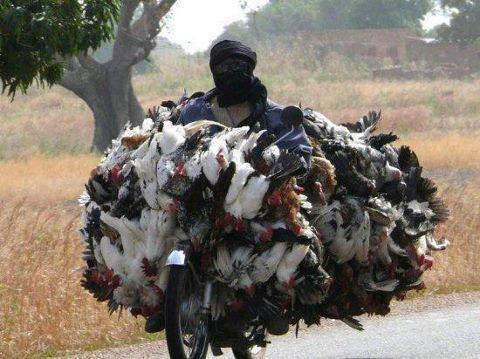 Funny And Interesting Photography Funny and Interesting Photos 161 Funny And Interesting Photography