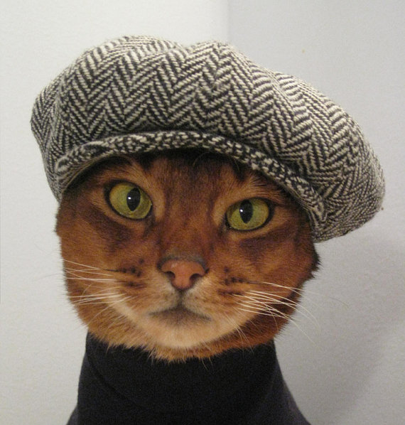 Hats for Cats Hats for Cats 01 11 Hats for Cats