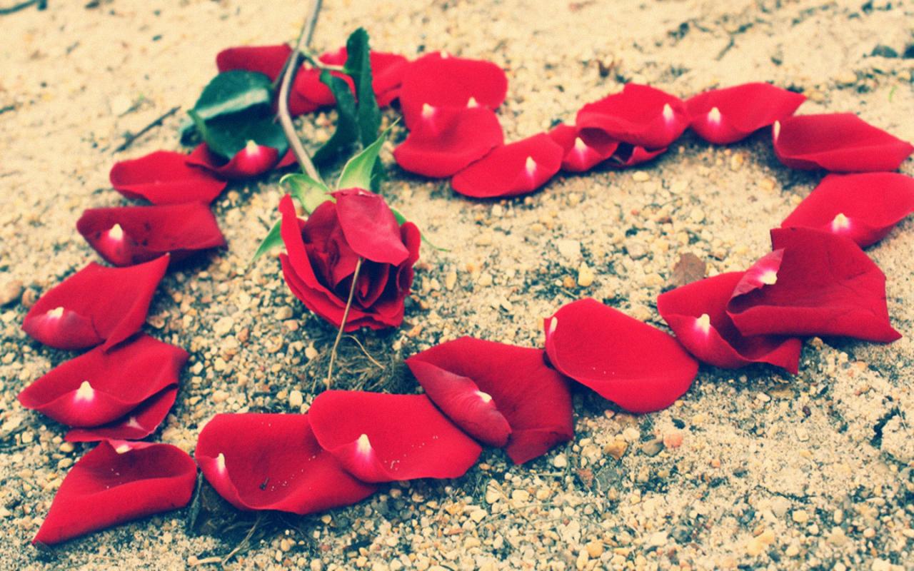 Facebook Timeline Cover Romantic Images Heart Flower Petals Cover Timeline Facebook Timeline Cover Romantic Images