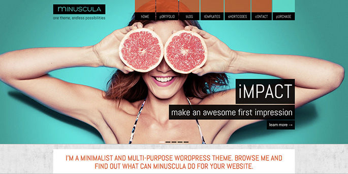 The Best WordPress Themes of the Week #7 Minuscula w1065 h550 The Best WordPress Themes of the Week #7