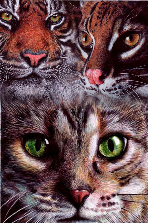Picture Artworks Using Ballpoint Pen Will you Believe? Paint Mashup Picture Artworks Using Ballpoint Pen Will you Believe?