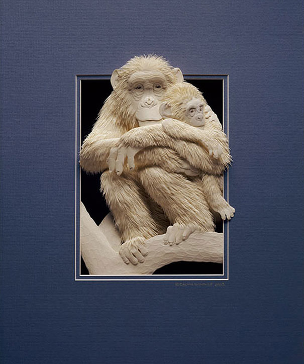 Beautiful Paper Animal Sculpture by Calvin Nicholls Stunning Paper Animal Sculpture by Calvin Nicholls 9 Beautiful Paper Animal Sculpture by Calvin Nicholls