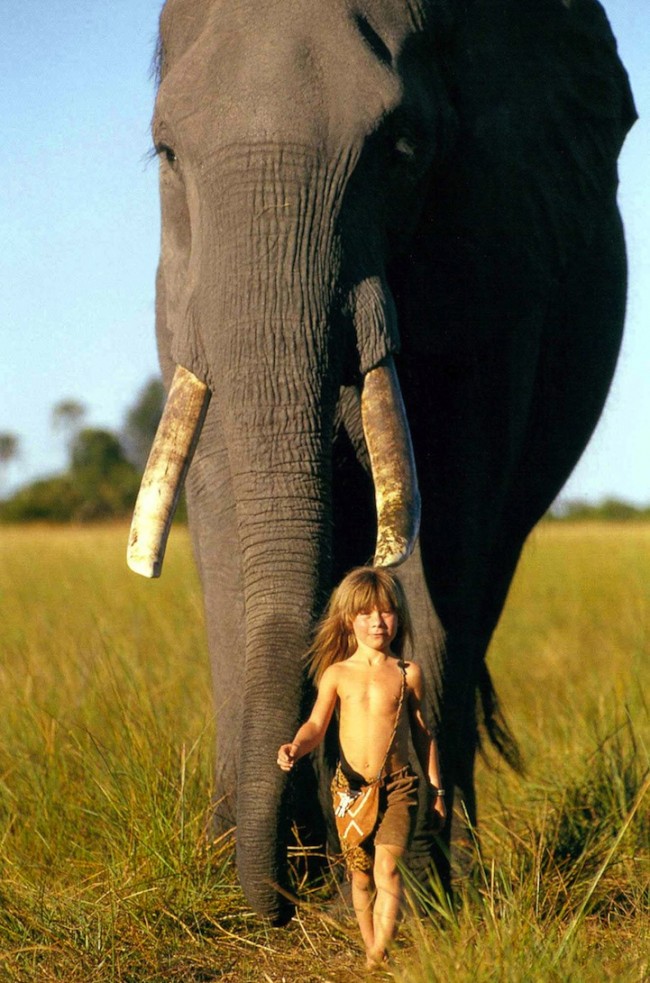  " " Tippi-Degré-with-African-Wildlife-Animals7-650x983.jpg