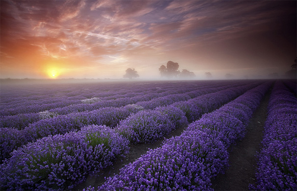 beautiful illustration of landscape photographs 141 Beautiful landscape Photographs