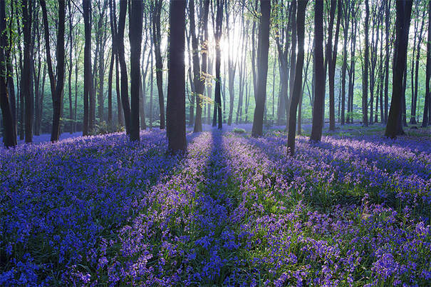 beautiful illustration of landscape photographs 151 Beautiful landscape Photographs