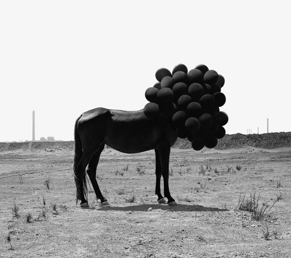death of an image 1 Death of an image by Andrea Galvani
