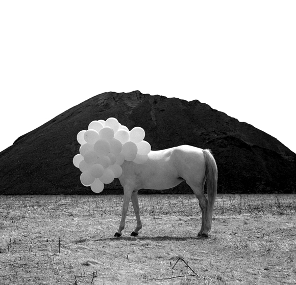 death of an image 2 Death of an image by Andrea Galvani