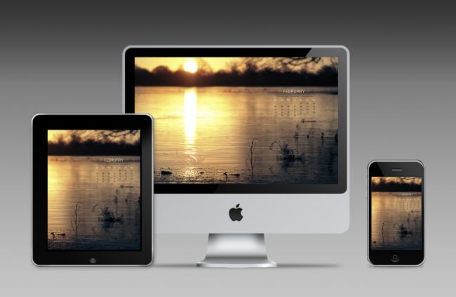 Desktop Calendar February 2013 desktop examples february 650x424 Desktop Calendar February 2013