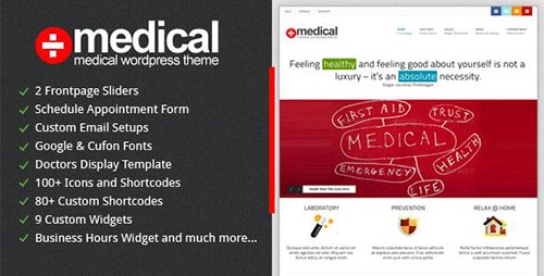 dzinewatch.com medical theme 1 Medical and Health WordPress Theme