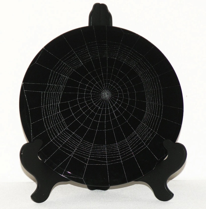 Complex Natural Spider Webs Preserved on Glass Plates Complex Natural Spider Webs Preserved on Glass Plates