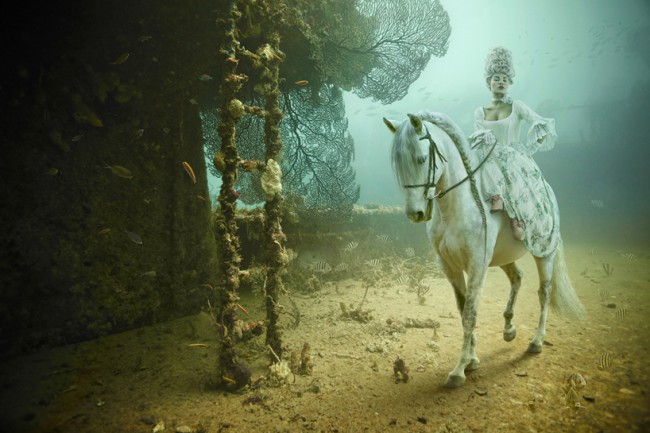 franke 1 650x433 underwater photography by andreas franke