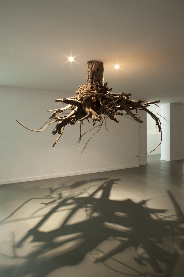 Spectacular Gravity Defying Tree Root Chandeliers Spectacular Gravity Defying Tree Root Chandeliers