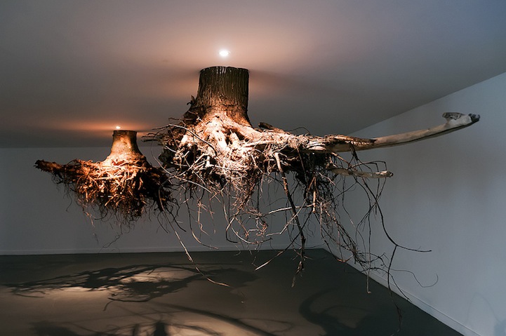 Spectacular Gravity Defying Tree Root Chandeliers Spectacular Gravity Defying Tree Root Chandeliers