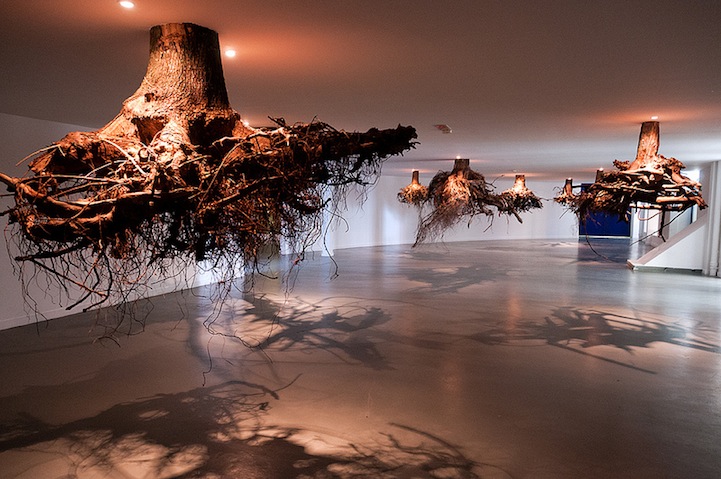 Spectacular Gravity Defying Tree Root Chandeliers Spectacular Gravity Defying Tree Root Chandeliers