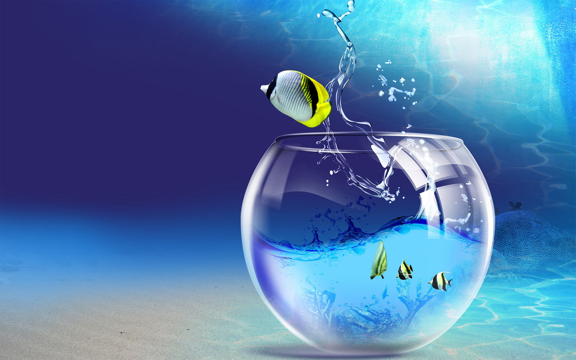 Different Glass Shape Photos glass shape 8 Different Glass Shape Photos