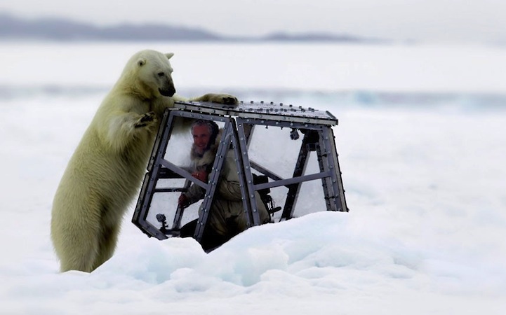 Cameraman Comes Face to Face with Hungry Polar Bears Cameraman Comes Face to Face with Hungry Polar Bears