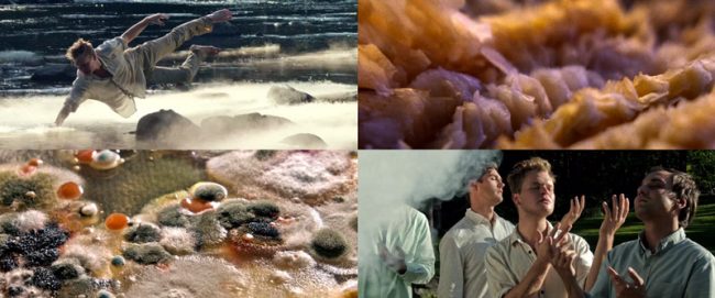 Grizzly Bear – Gun shy (official video) grizzly bear gun shy 650x271 Grizzly Bear – Gun shy (official video)