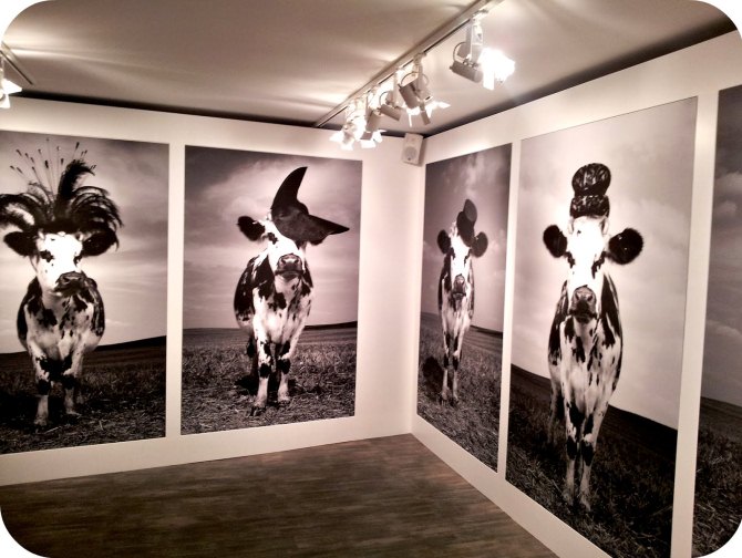 WHY YOU SHOULD VISIT THIS CREATIVE MILK FACTORY la milk WHY YOU SHOULD VISIT THIS CREATIVE MILK FACTORY